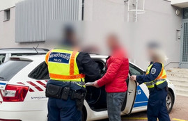 Thumbnail for 6808979