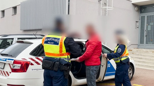 Thumbnail for 6808979