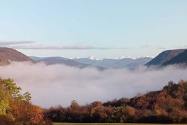 Thumbnail for 6809060