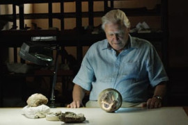 Thumbnail for 6809187