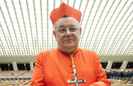 Thumbnail for 6809201