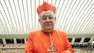 Thumbnail for 6809201