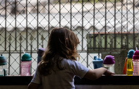 Thumbnail for 6809308