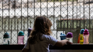 Thumbnail for 6809308