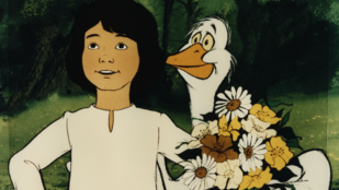 Thumbnail for 6809392