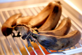 Thumbnail for 6809498