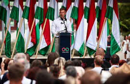 Thumbnail for 6809578