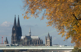 Thumbnail for 6809582