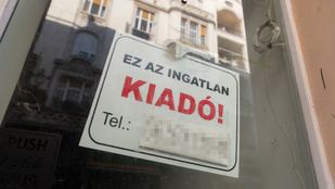 Thumbnail for 6809589