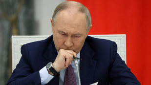 Thumbnail for 6809654