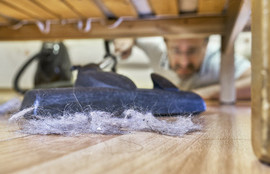 Thumbnail for 6809706