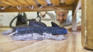 Thumbnail for 6809706