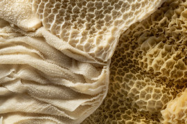 Thumbnail for 6809860