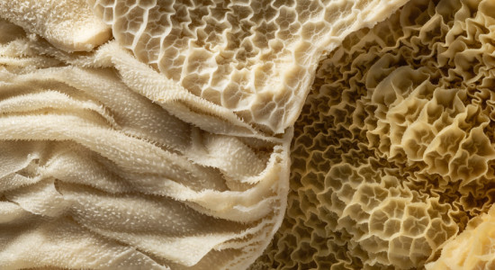 Thumbnail for 6809860