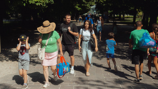 Thumbnail for 6809927