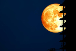 Thumbnail for 6810049