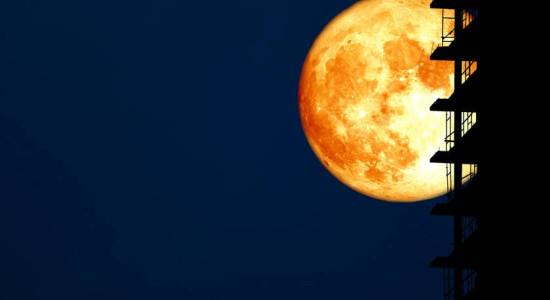 Thumbnail for 6810049