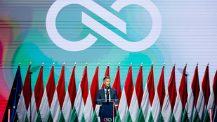 Thumbnail for 6810206