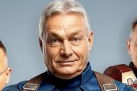 Thumbnail for 6810446