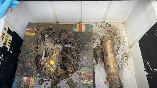 Thumbnail for 6810471