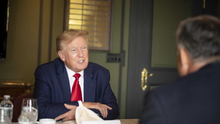 Thumbnail for 6810569