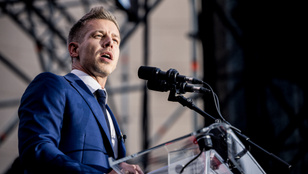 Thumbnail for 6810762