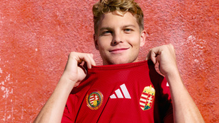 Thumbnail for 6810864