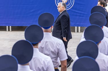 Thumbnail for 6810908