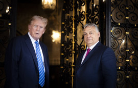 Thumbnail for 6810913