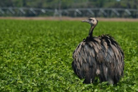 Thumbnail for 6810985