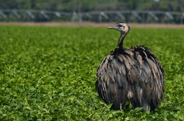 Thumbnail for 6810985