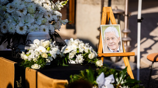 Thumbnail for 6811008