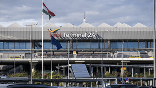 Thumbnail for 6811074