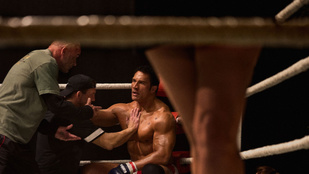 Thumbnail for 6811085