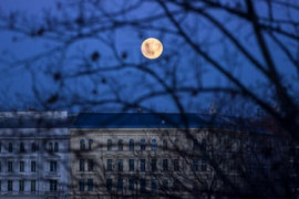 Thumbnail for 6811129