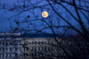 Thumbnail for 6811129