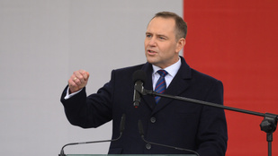 Thumbnail for 6811176