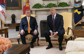 Thumbnail for 6811179