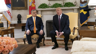 Thumbnail for 6811179