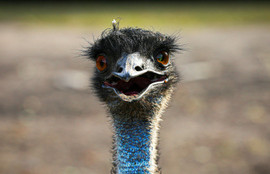 Thumbnail for 6811290