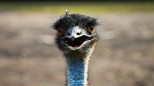 Thumbnail for 6811290