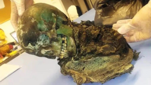 Thumbnail for 6811354