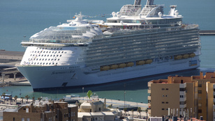 Thumbnail for 6811374