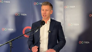 Thumbnail for 6811440