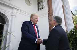 Thumbnail for 6811525