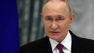 Thumbnail for 6811608