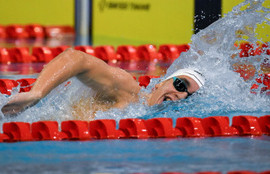 Thumbnail for 6811694