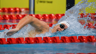 Thumbnail for 6811694