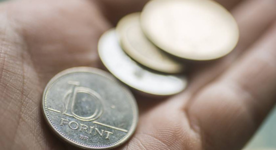 Thumbnail for 6811698