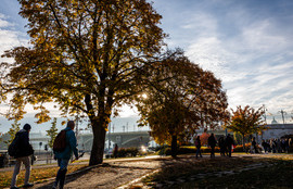 Thumbnail for 6811741